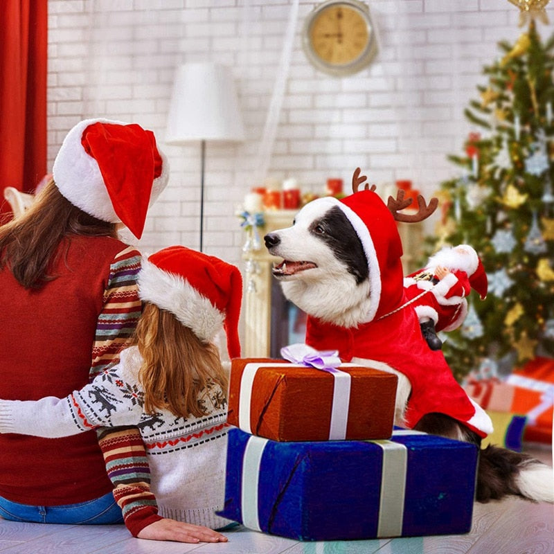 Fantasia Pet Noel | Para Cachorro